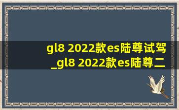 gl8 2022款es陆尊试驾_gl8 2022款es陆尊二手